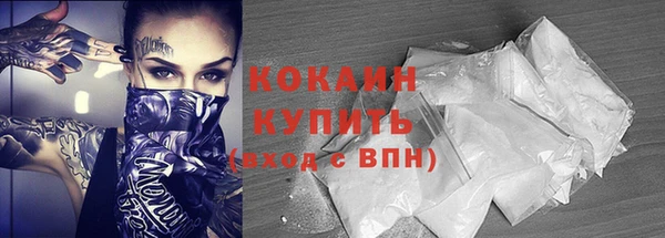 крисы Бронницы